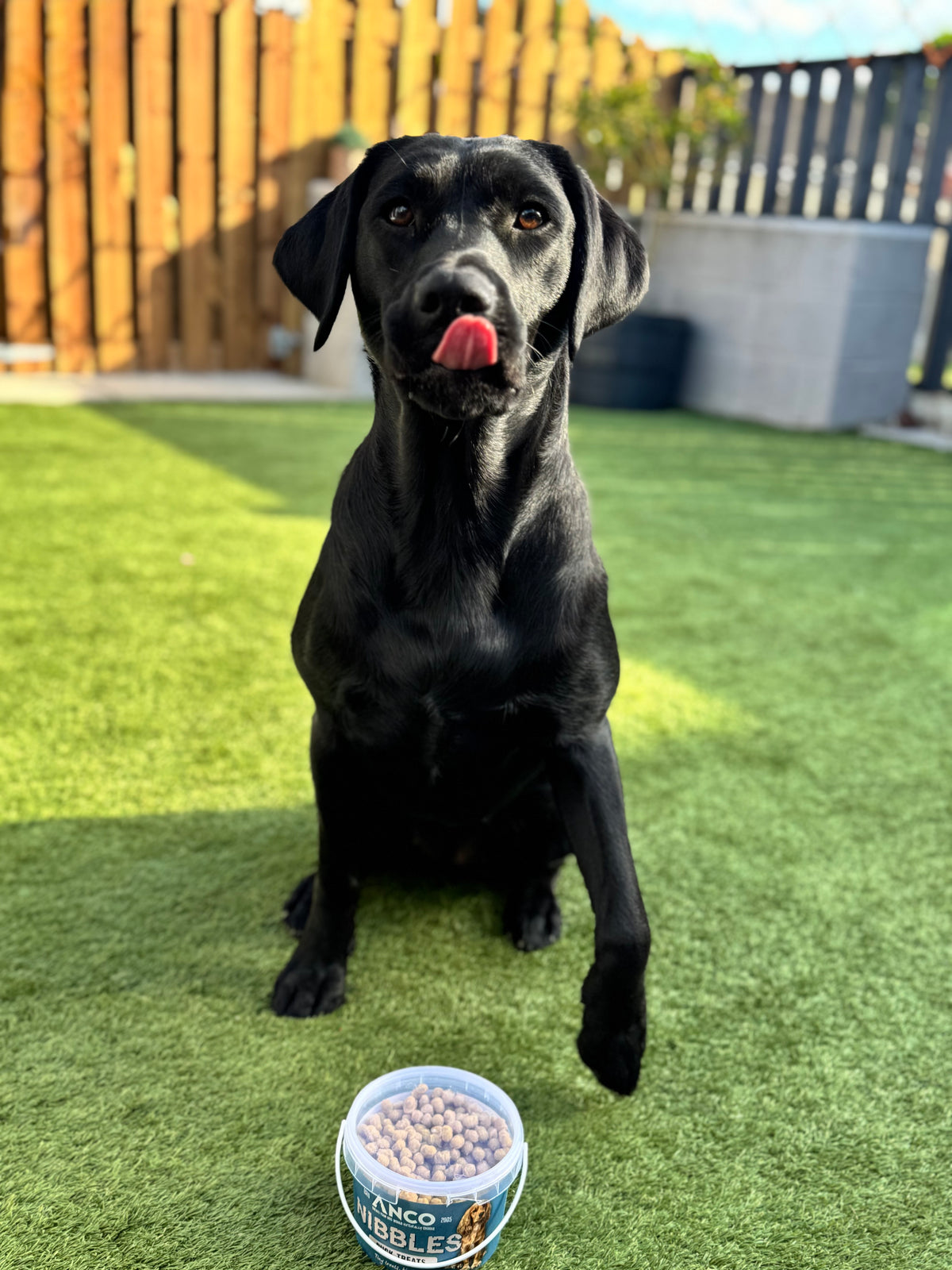 Duck Treat Dog Nibbles