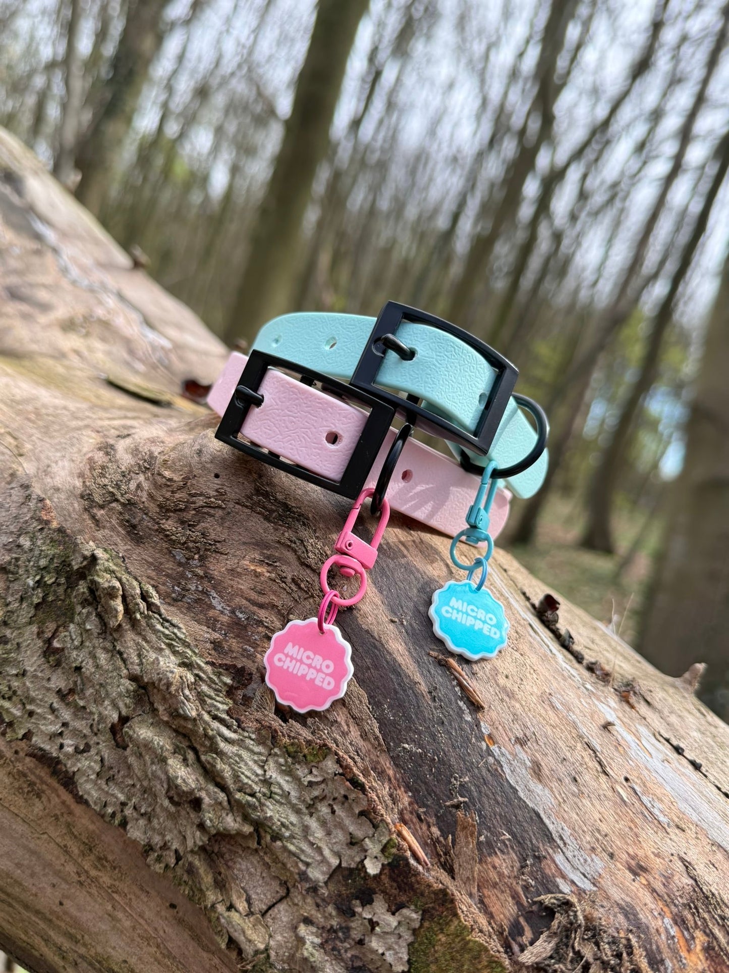 Candy Pink Dog Collar