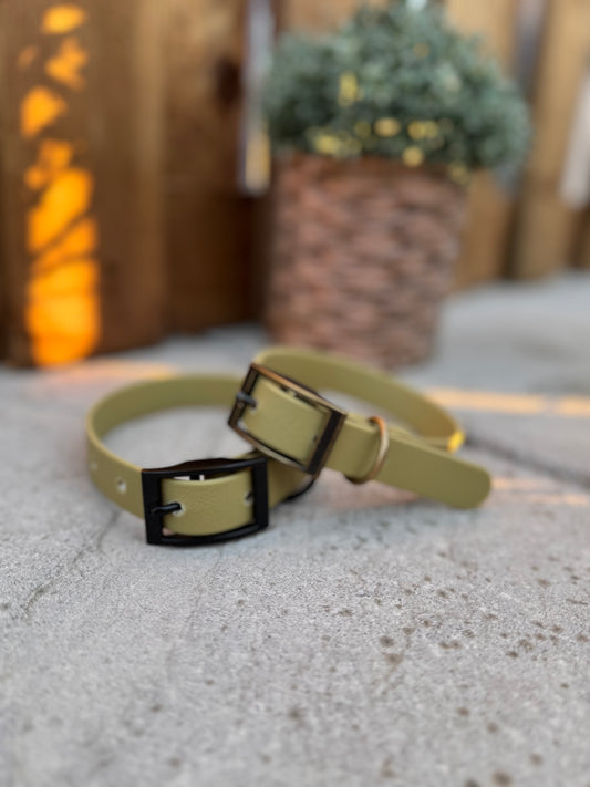 Olive Dog Collar