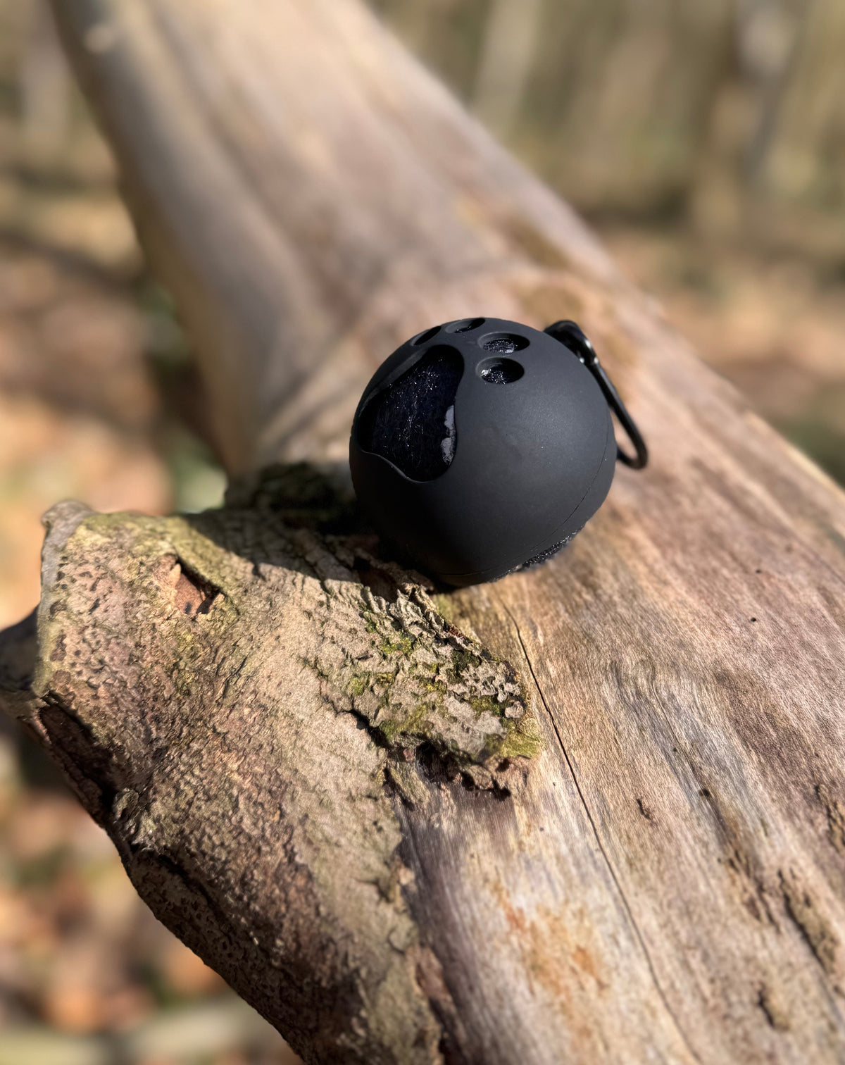 The Dog Ball Dock