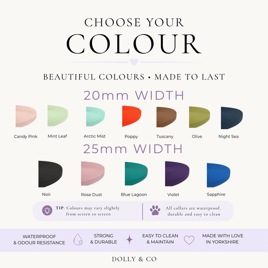 Colour Contrast Waterproof Dog Lead | 20mm