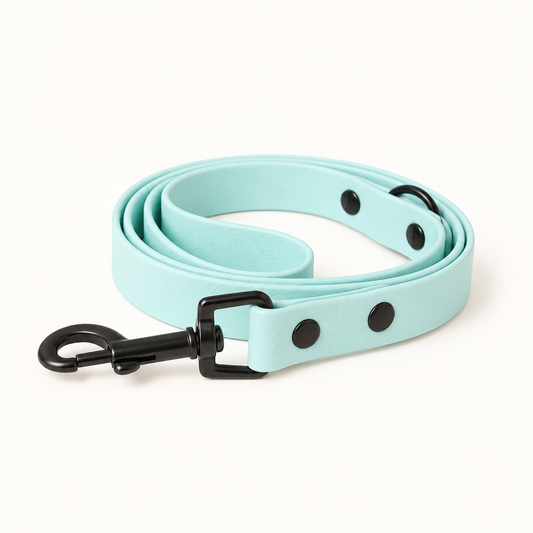 Arctic Mist Dog Lead