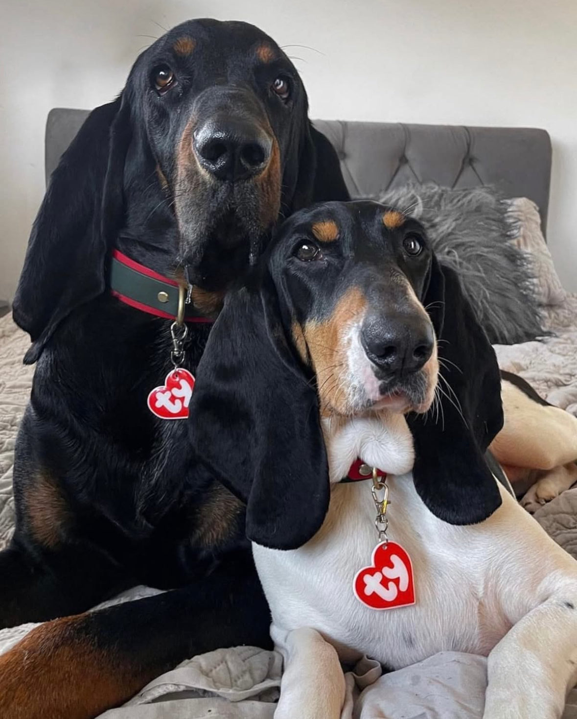 Beanie Tag