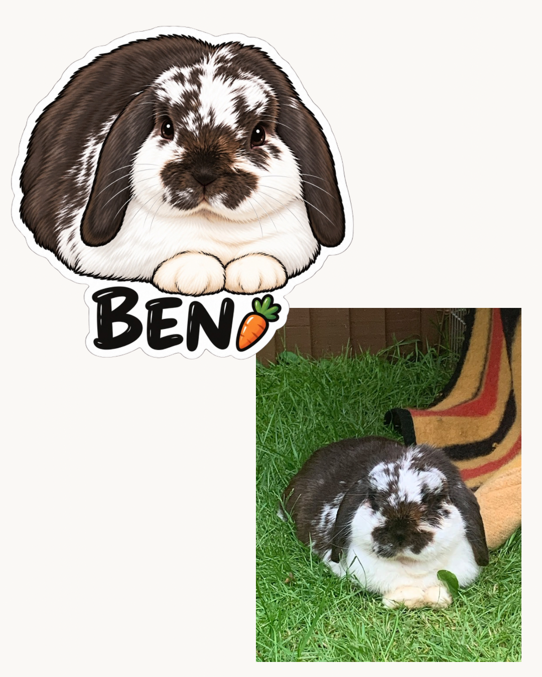 Personalised pet portrait sticker design by Dolly & Co