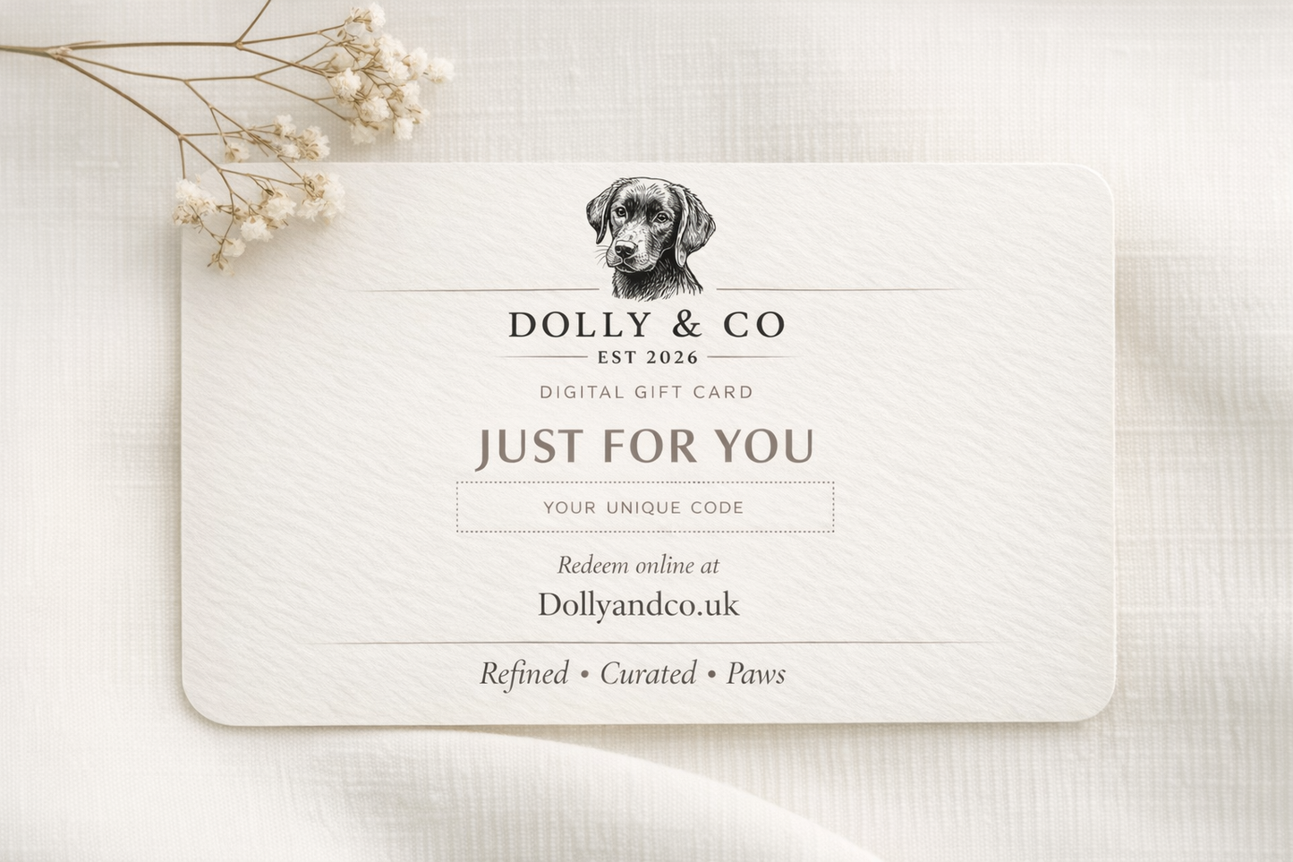 Dolly & Co Giftcard