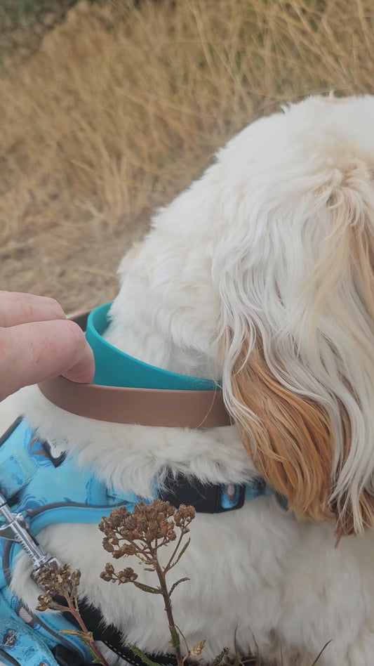The Utility Grip Dog Collar