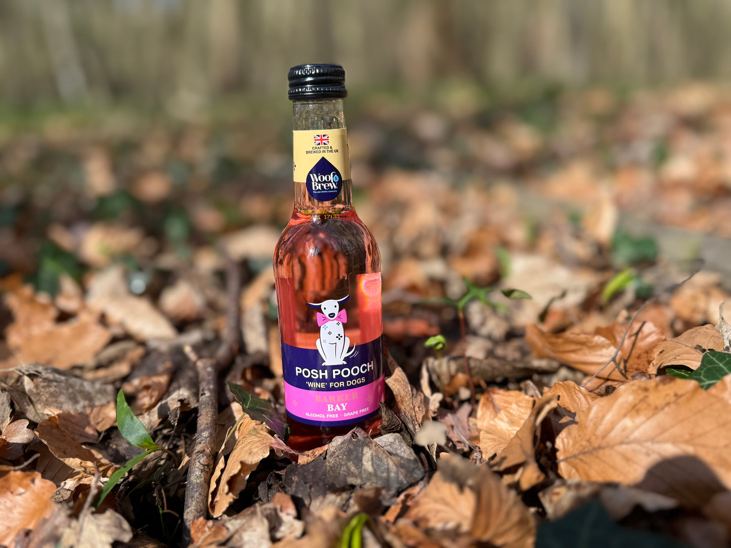 Woof & Brew Posh Pooch Rose