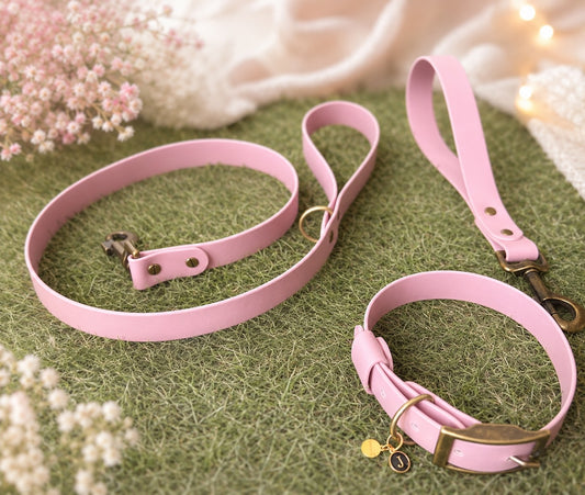 Rose Dust Waterproof Biothane Dog Lead