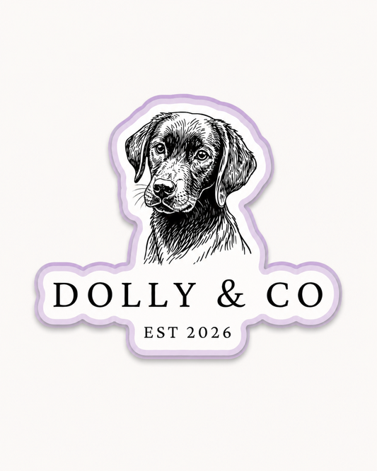 Slowly Building a Brand with Heart