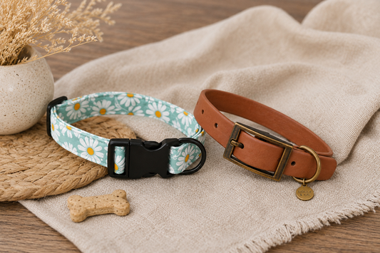 Fabric vs BioThane: Which Waterproof Dog Collar Is Best for UK Walks?