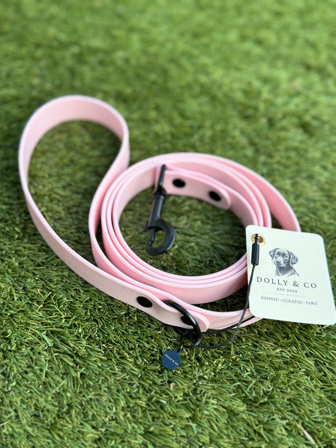 Why We Choose Biothane for Dolly & Co Collars