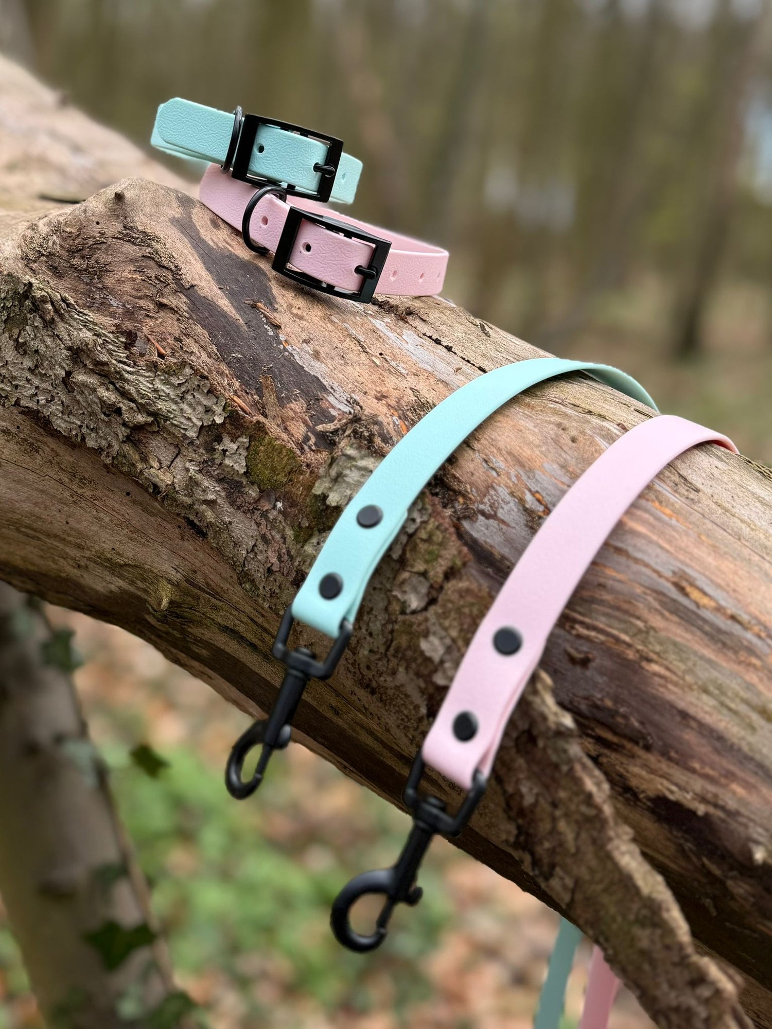 The Pastel Edit