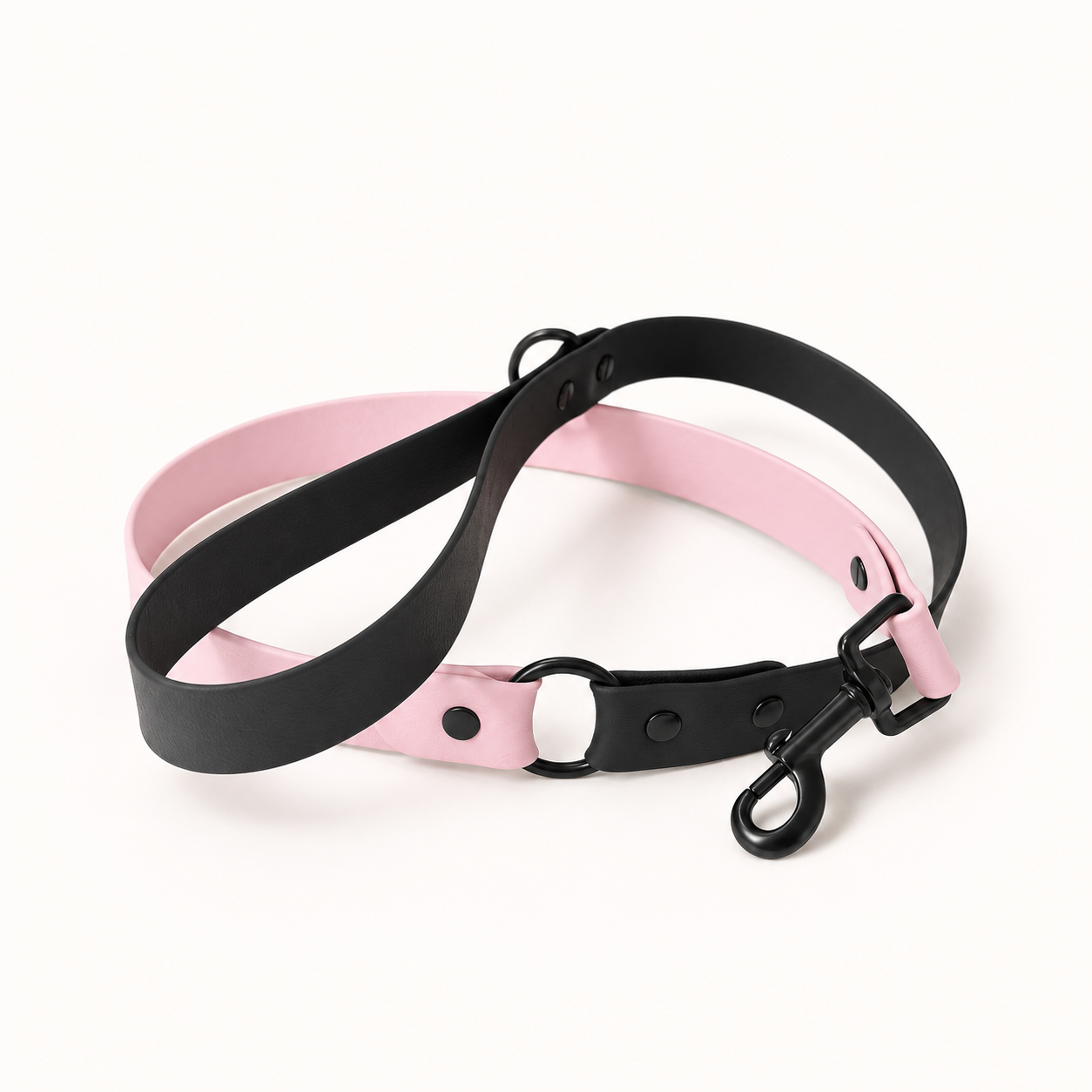 Dog Leads