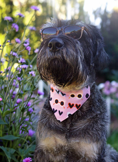 Hand Crafted Bandanas