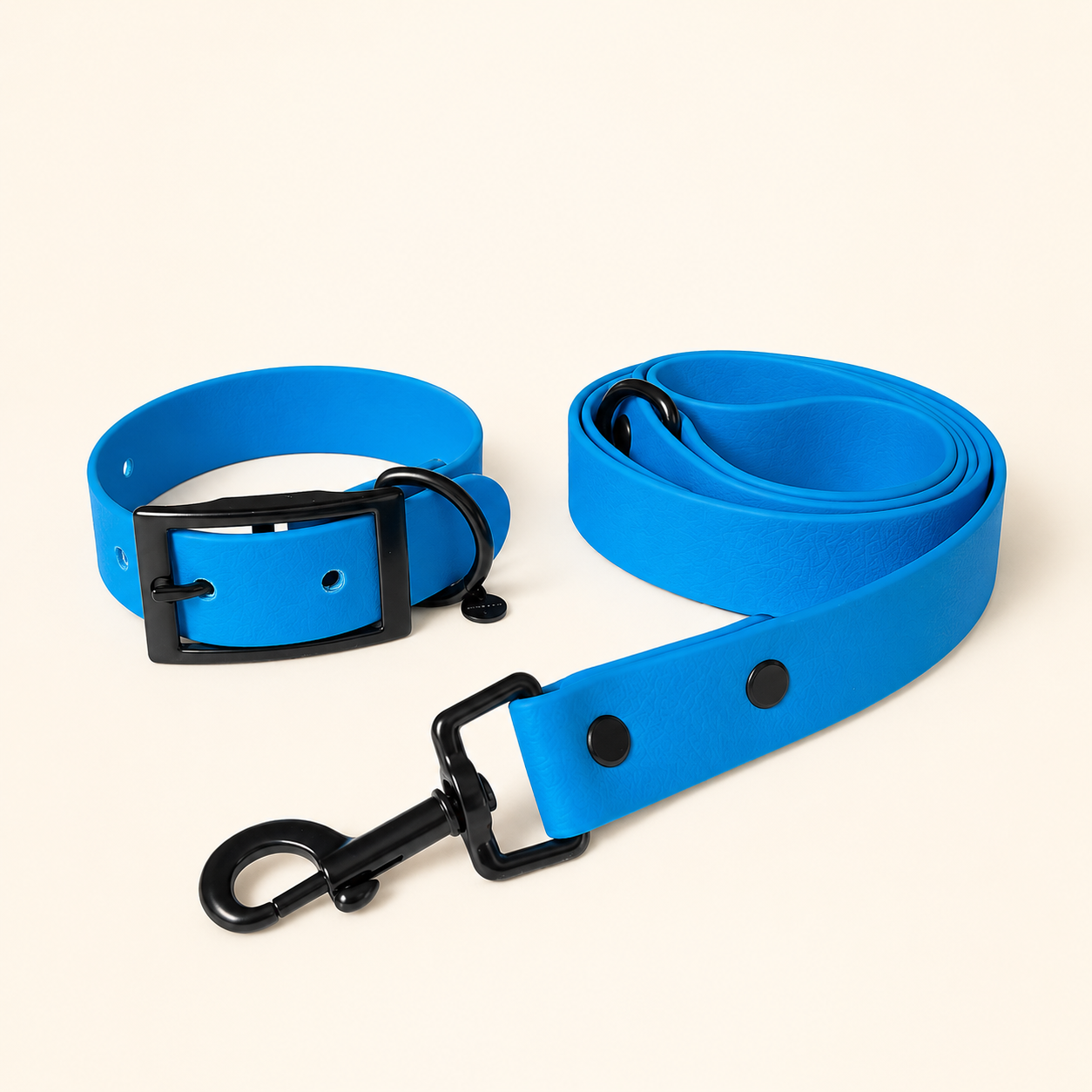 Dog Collars & Leads