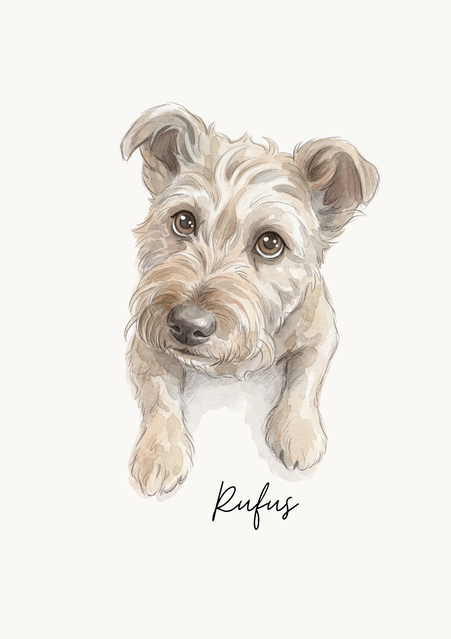 The Pawtraits Collection