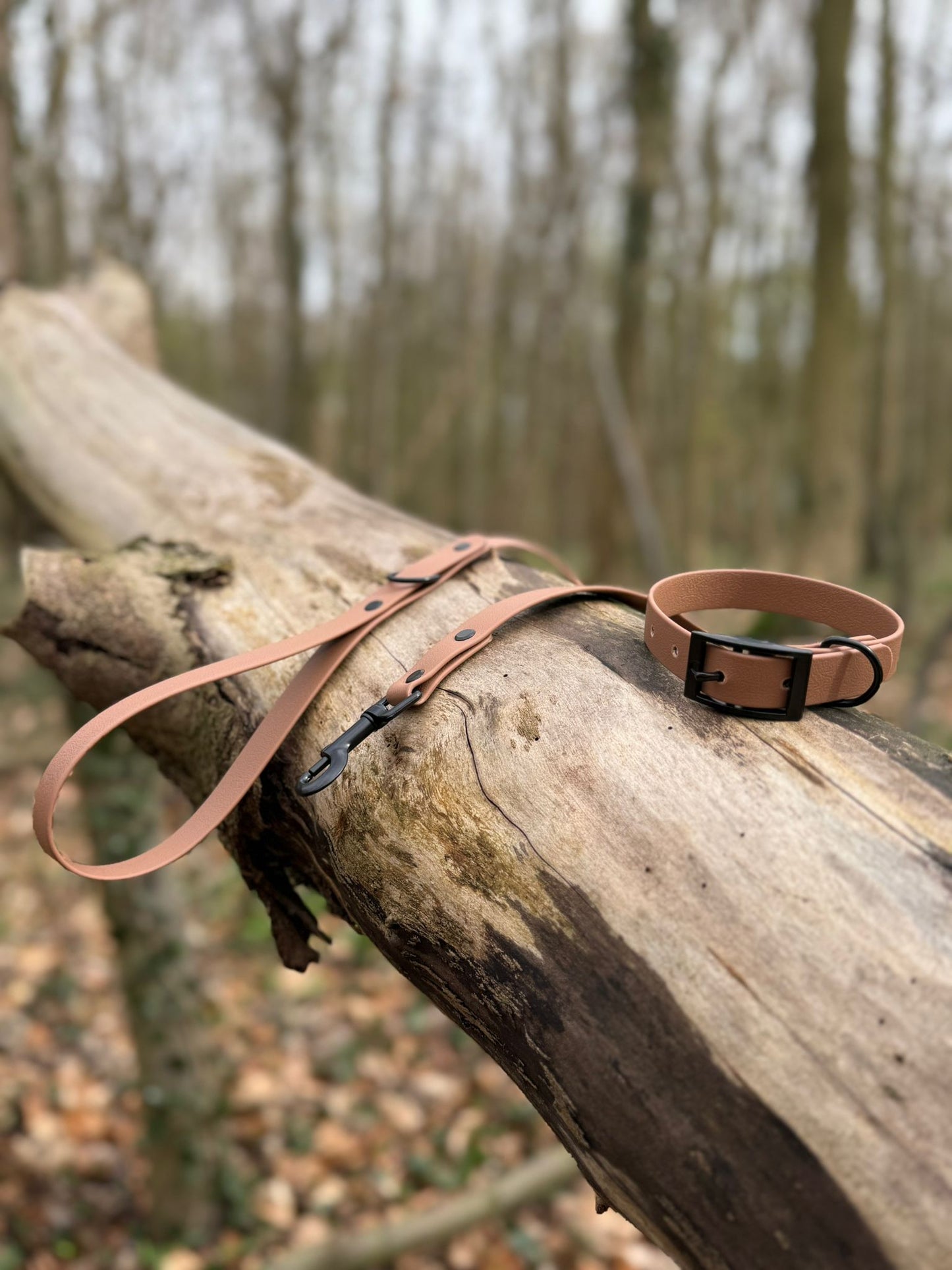 Tuscany Dog Collar