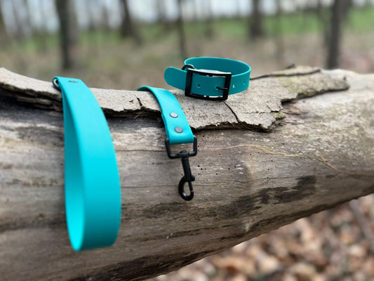 Blue Lagoon Dog Lead