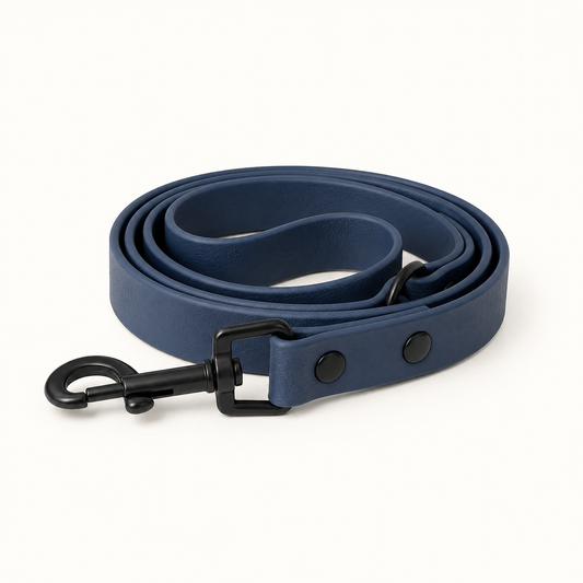 Night Sea Dog Lead