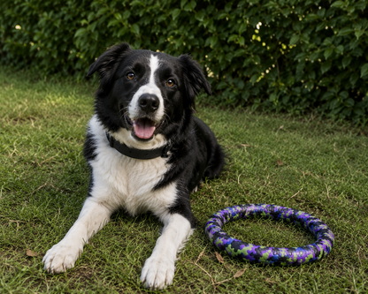 Waterproof Camo Dog Ring Toy