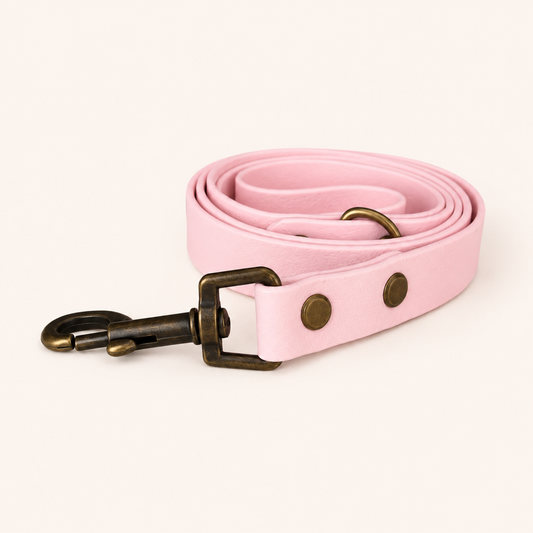 Candy Pink Dog Lead