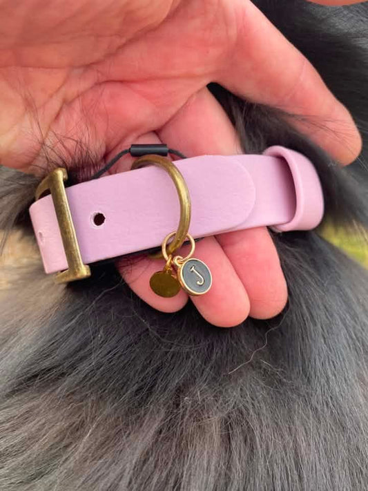 Rose Dust Waterproof Biothane Dog Collar