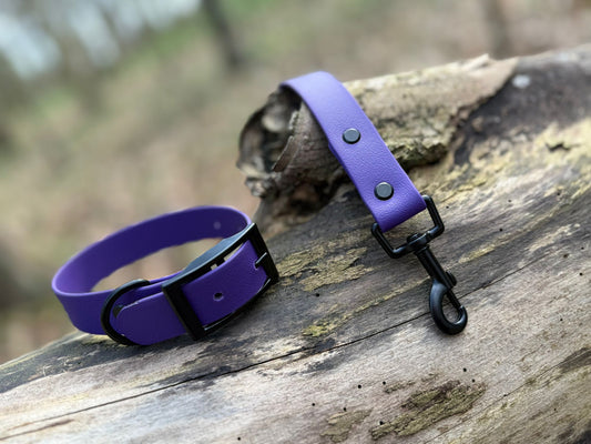 Violet Dog Lead