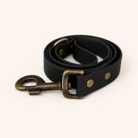 Noir Waterproof Biothane Dog Lead