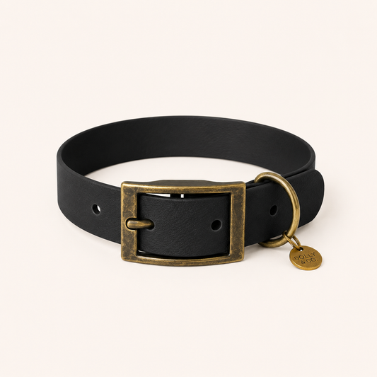 Noir Dog Collar