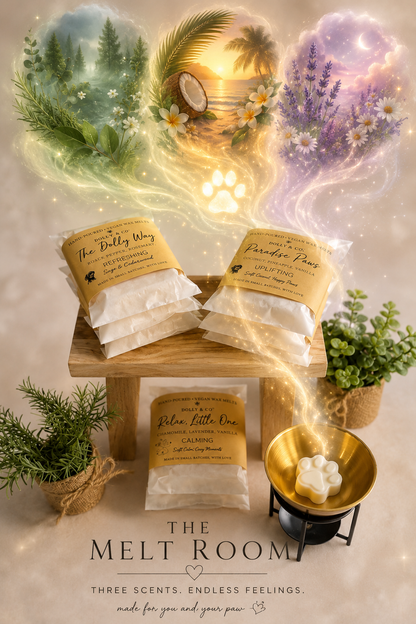 The Dolly Way Wax Melts – product photograph | Dolly & Co
