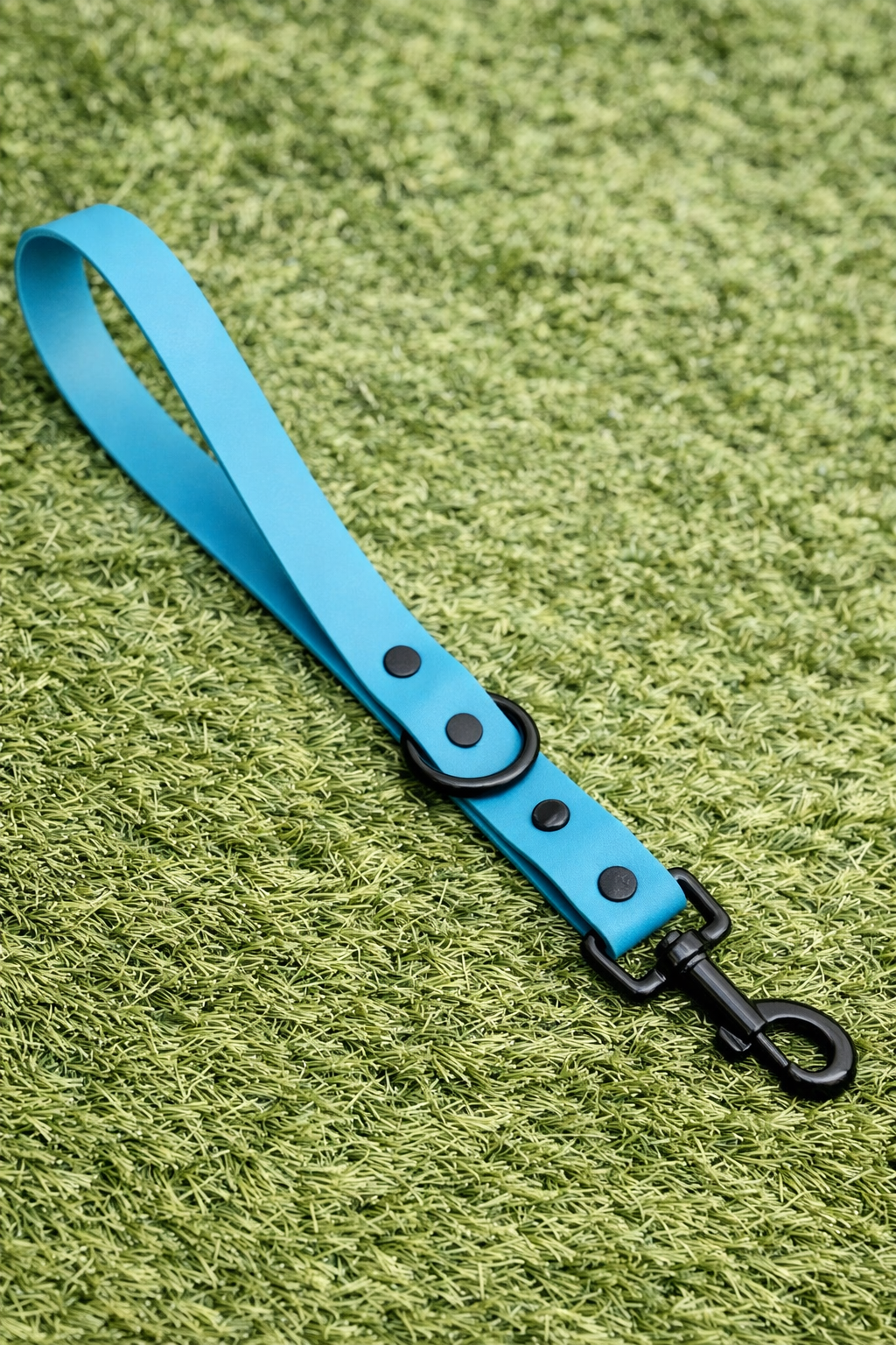 The Urban Midi Dog Lead