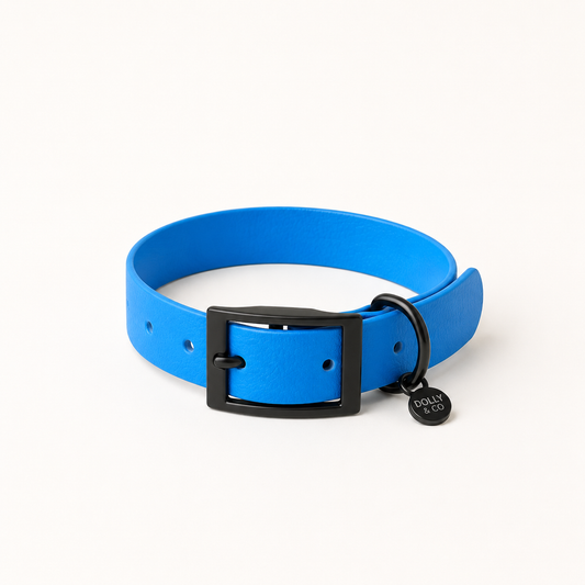 Sapphire Dog Collar