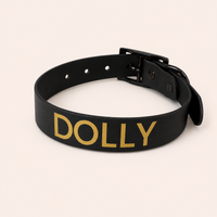 The Personalised Waterproof Dog Collar