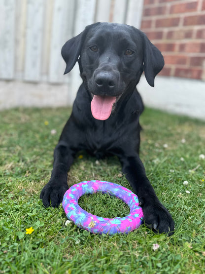 Waterproof Camo Dog Ring Toy