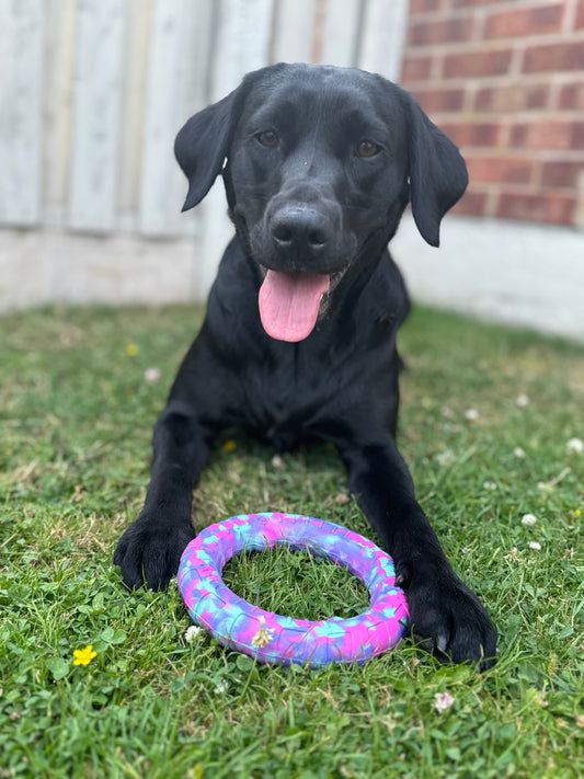 Waterproof Camo Dog Ring Toy