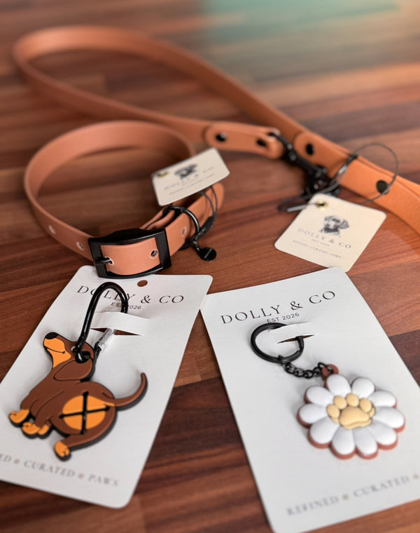 Tuscany Matching Collar and Lead Set