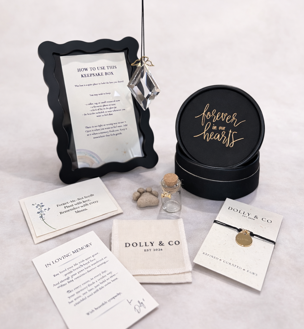 The Memory Holder Box