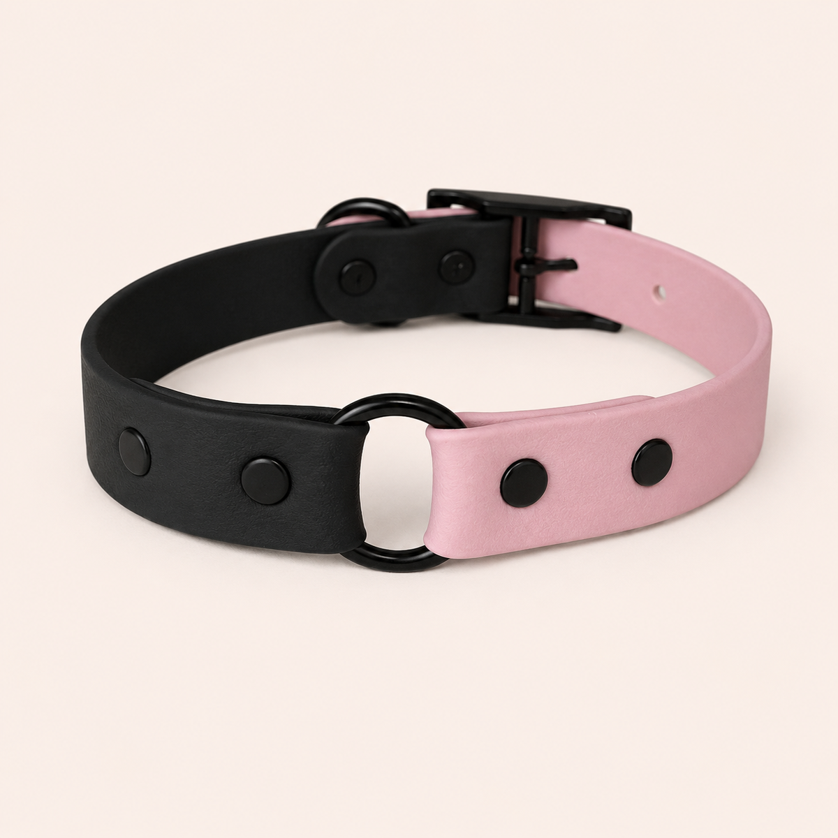 Colour Contrast Dog Collar | 25mm