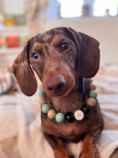 The Daisy Beaded Dog Collar