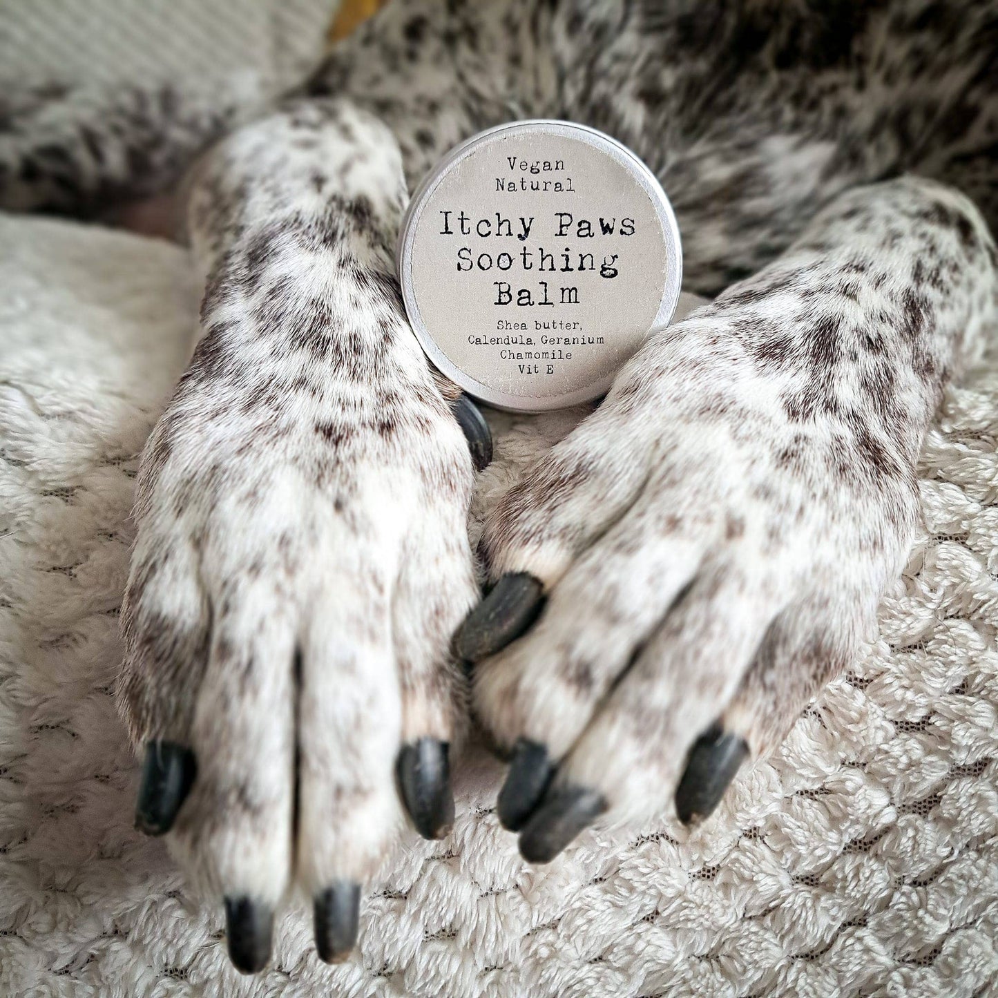 Itchy Paws Dog Balm