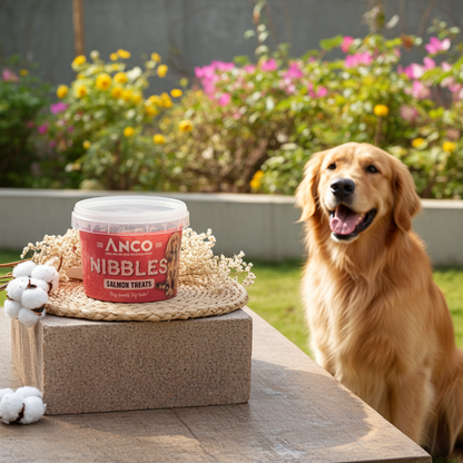 Salmon Treat Dog Nibbles