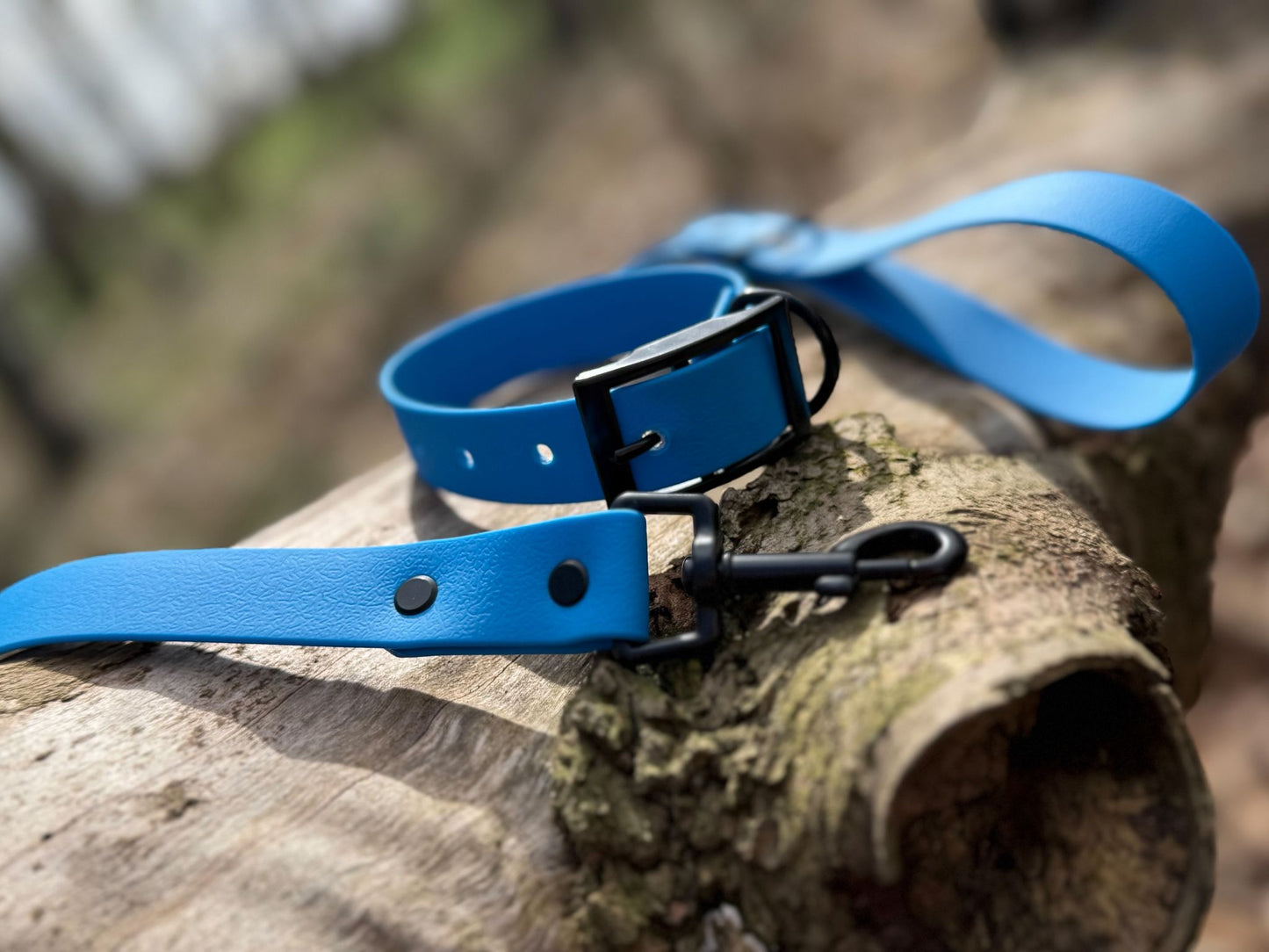 Sapphire Dog Collar