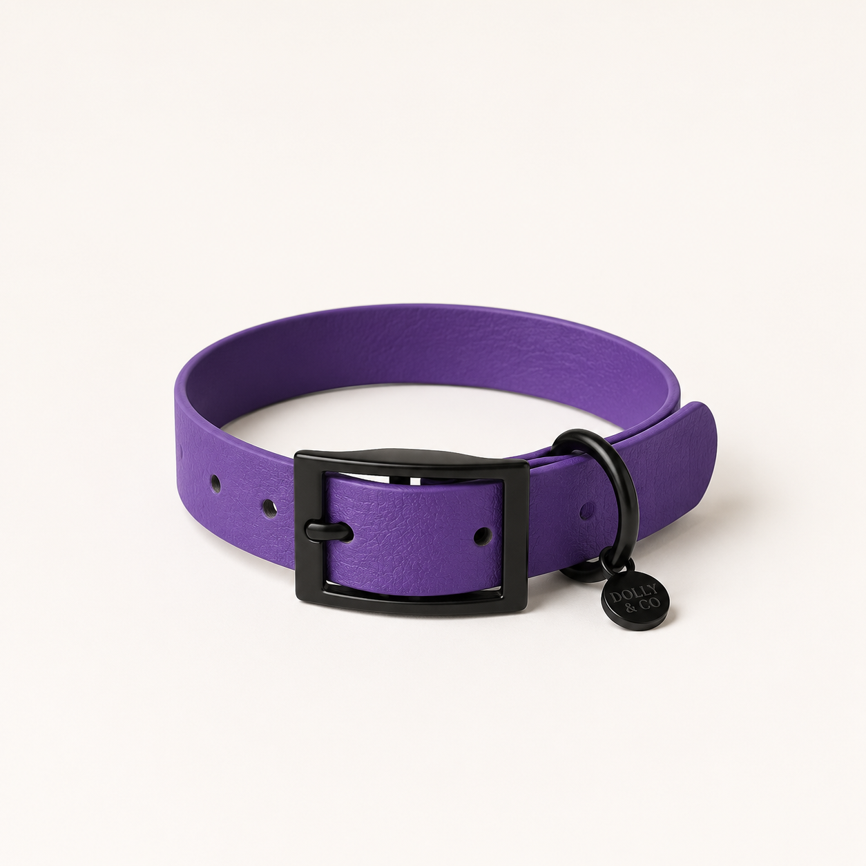 Violet Dog Collar
