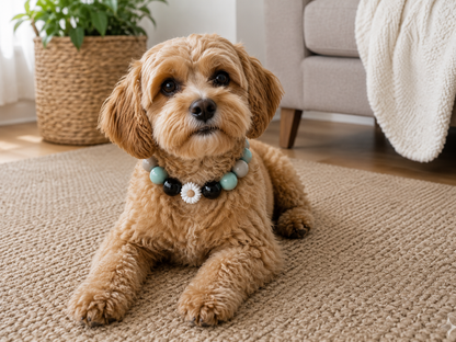 The Daisy Beaded Dog Collar