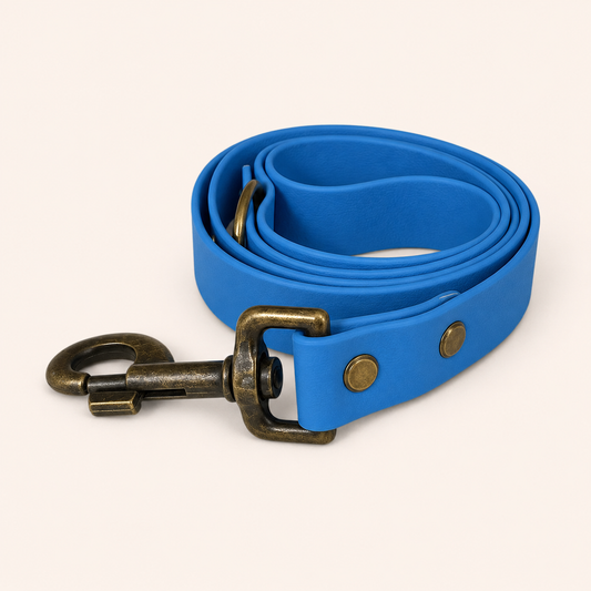 Sapphire Dog Lead
