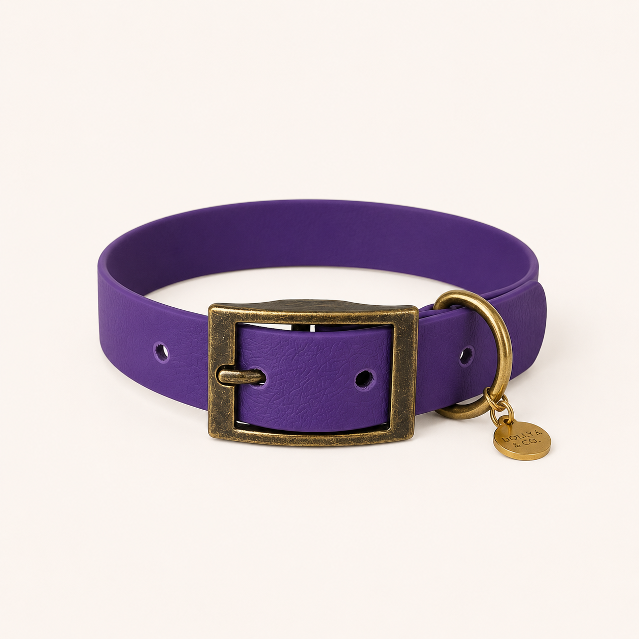Violet Dog Collar