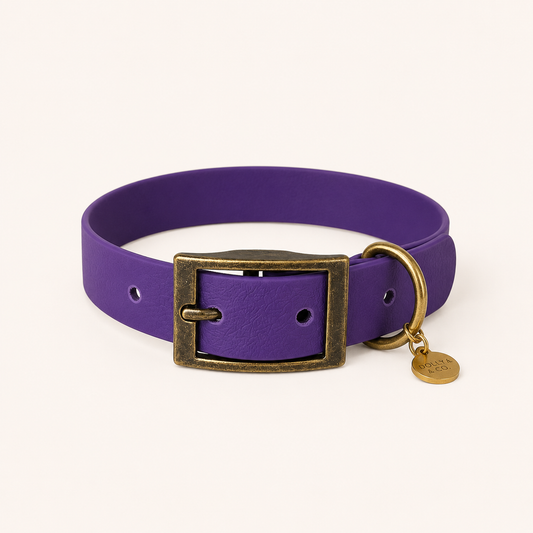 Violet Dog Collar
