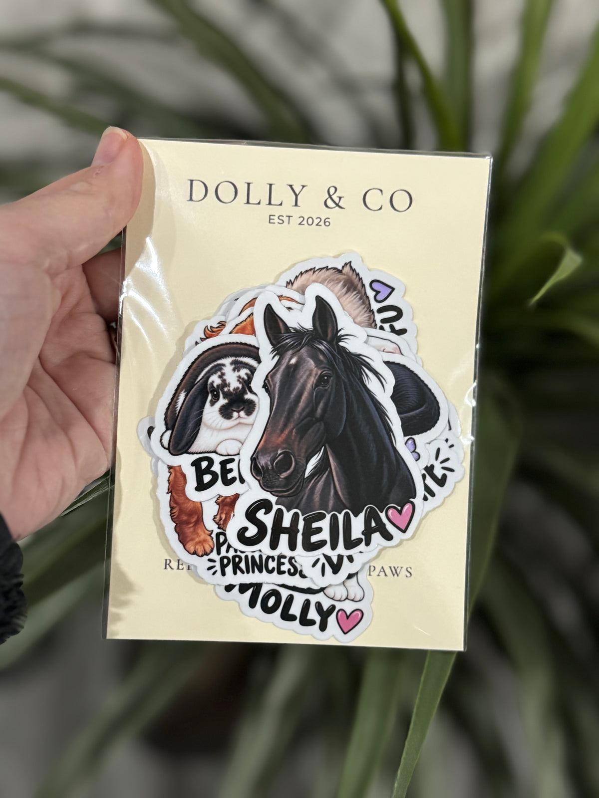 Custom illustrated pet photo sticker example from Dolly & Co