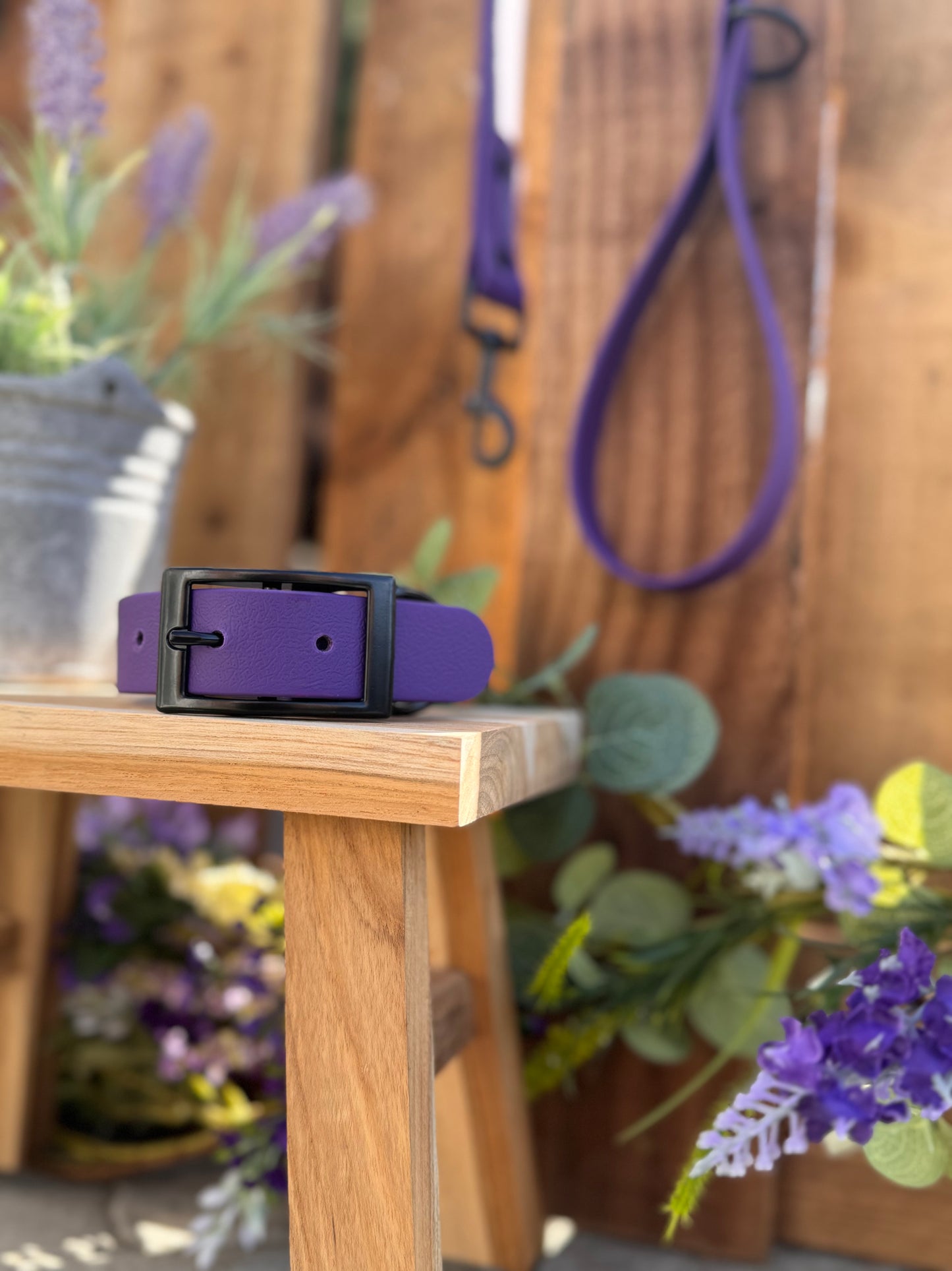 Violet Dog Lead