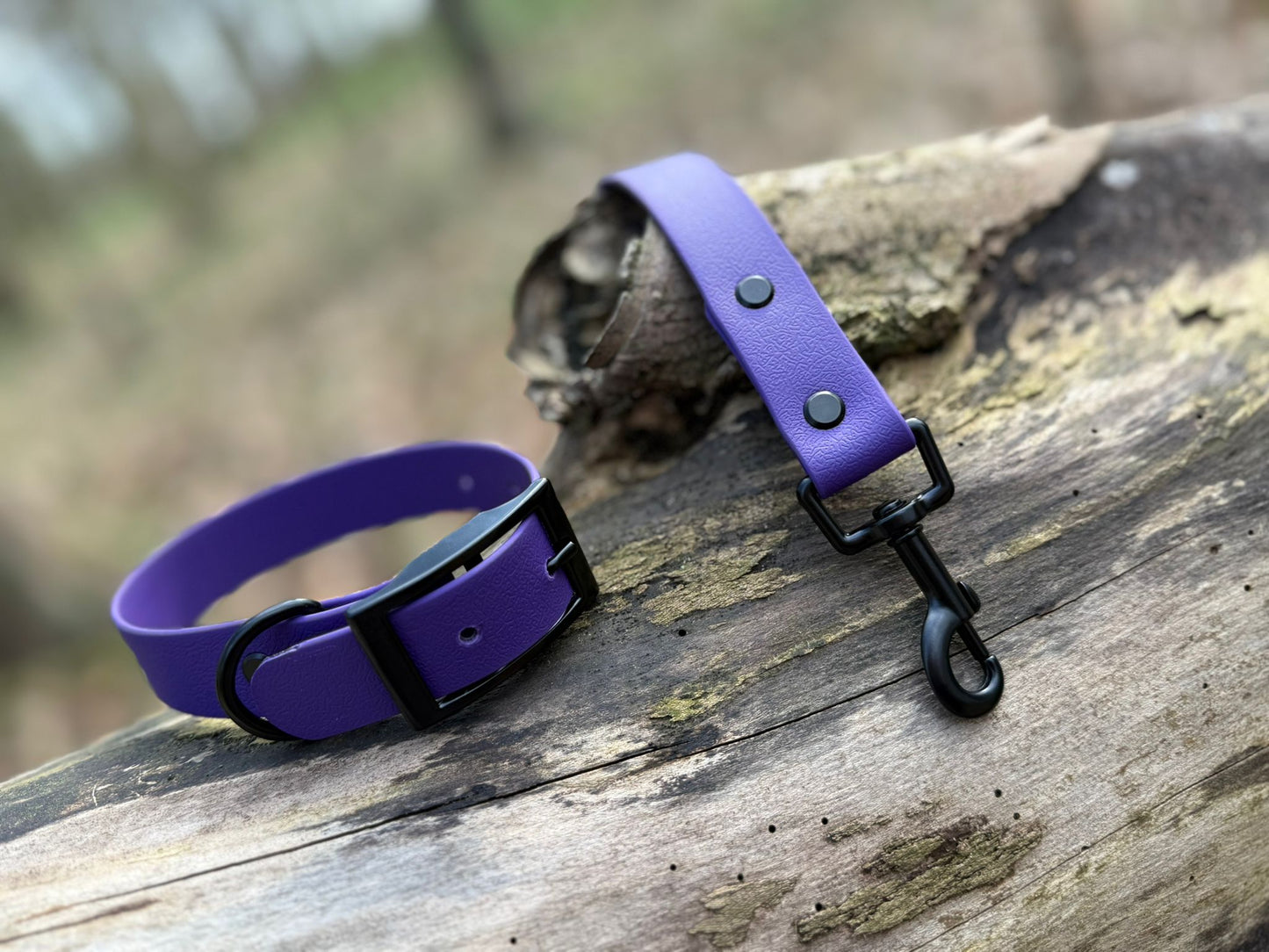 Violet Dog Collar